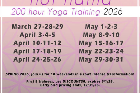 Hot Hatha 200 Hour Yoga Teacher Training